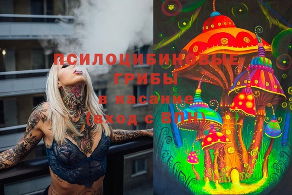 ешки Балахна