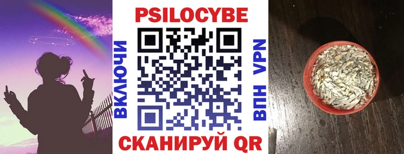 Псилоцибиновые грибы MAGIC MUSHROOMS  ссылка на мегу маркетплейс  Петушки  наркошоп 